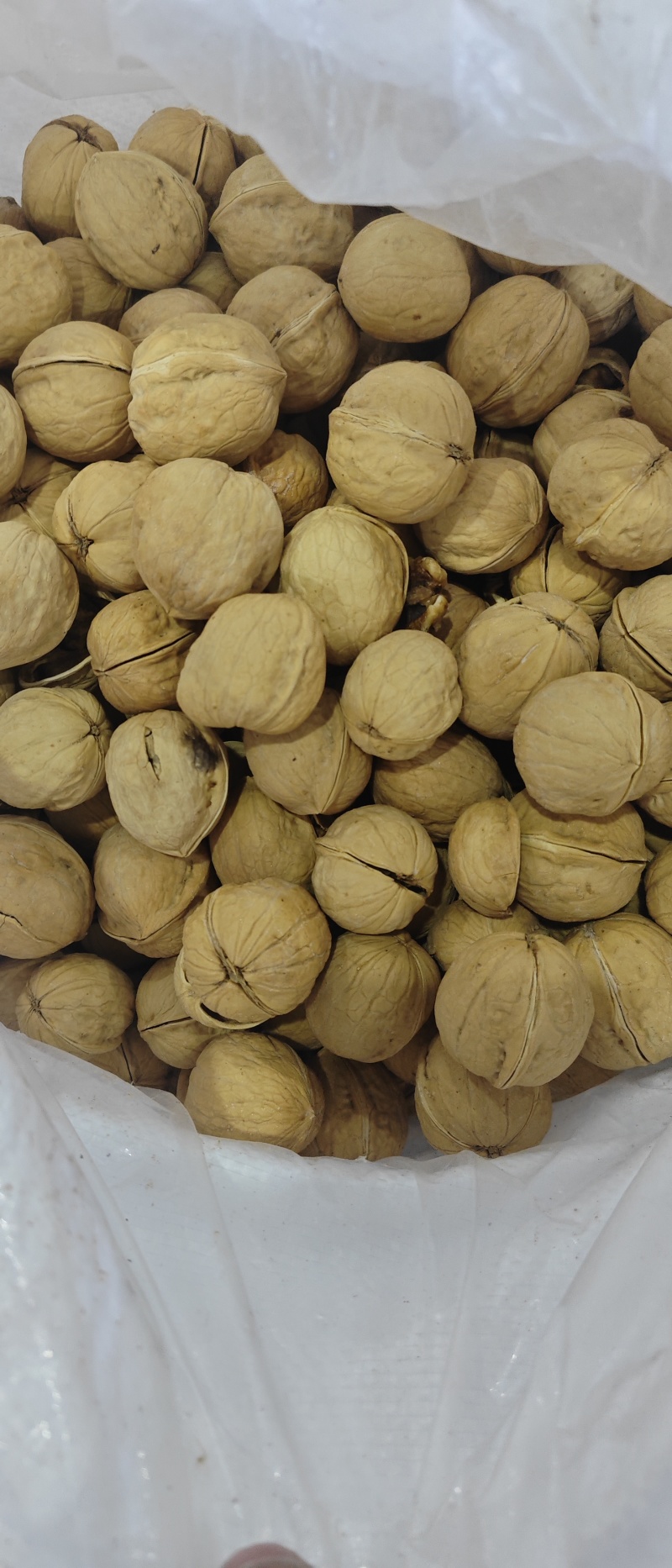 新疆薄皮核桃《新货现做》大量供应商超，电商，欢迎来电洽谈