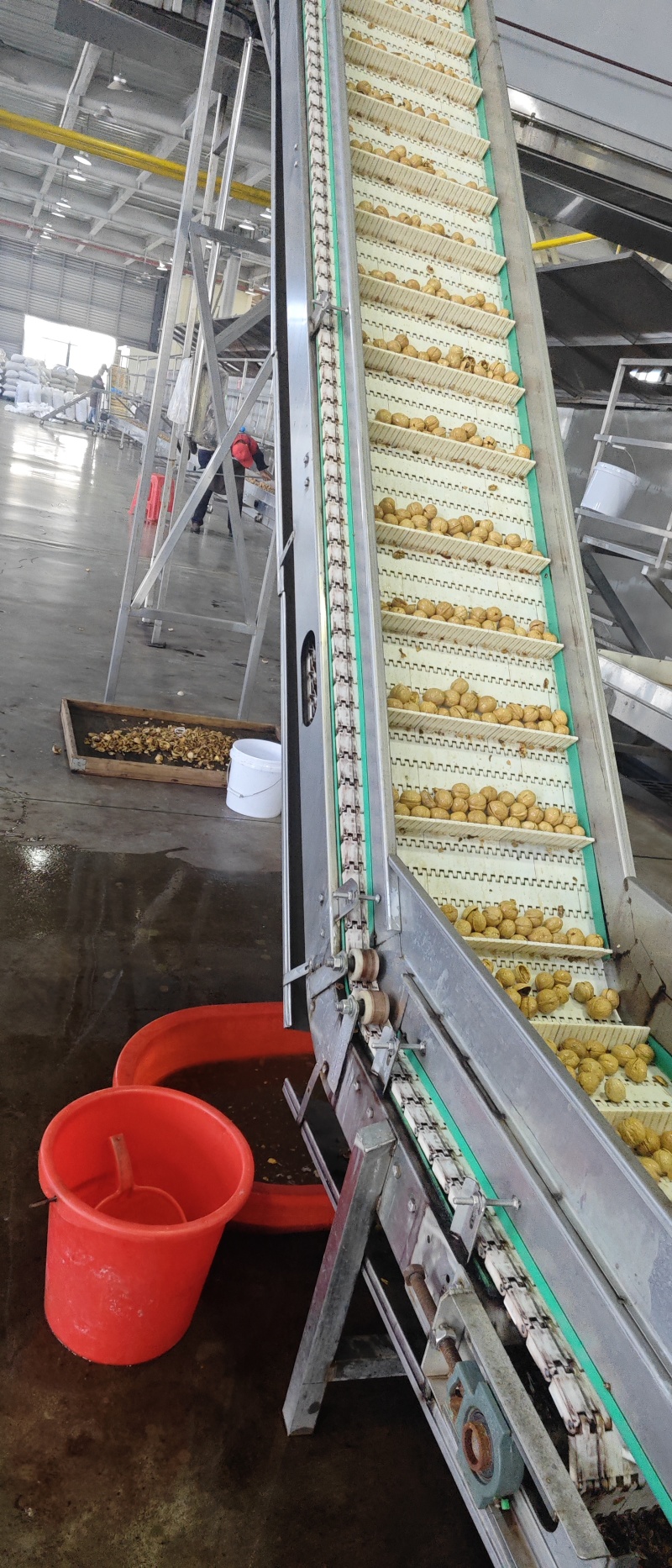 新疆薄皮核桃《新货现做》大量供应商超，电商，欢迎来电洽谈