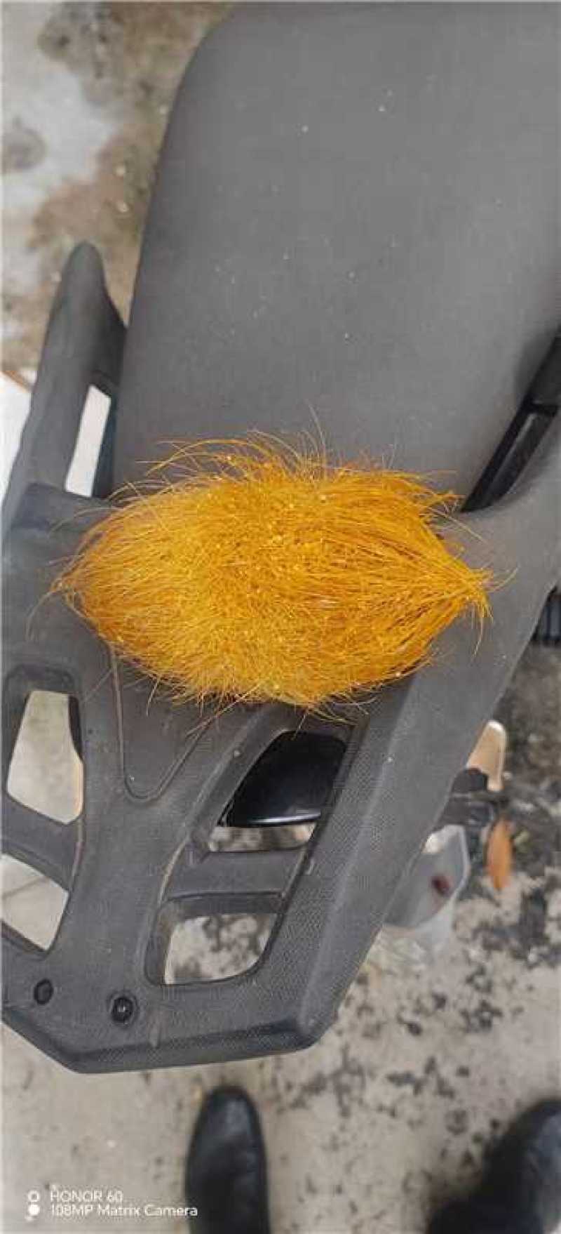 猪宝优质猪宝药用价值高可视频看货欢迎来电