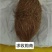 优质猪宝药用价值高中药材猪辰砂有需要的老板前来联