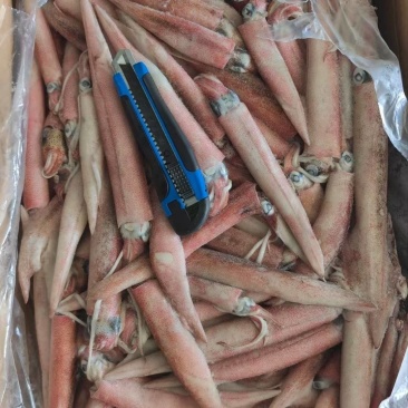 25g鱿索马里辣椒鱿