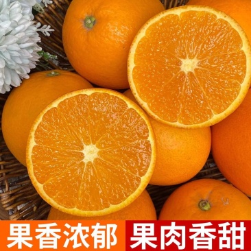 正宗赣南脐橙大量批发团购网商微商抖音一件代发品质好
