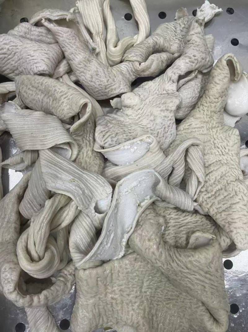 纯干精品牛肠厂家直供低价甩卖品质保证量大从优欢迎联系