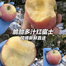 万荣黄土高坡红富士冰糖心苹果成熟了，一件5斤代发！