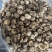 包邮无脚花菇4-5厘米大花菇2026花菇泌阳花菇干香菇