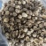 包邮无脚花菇4-5厘米大花菇2026花菇泌阳花菇干香菇