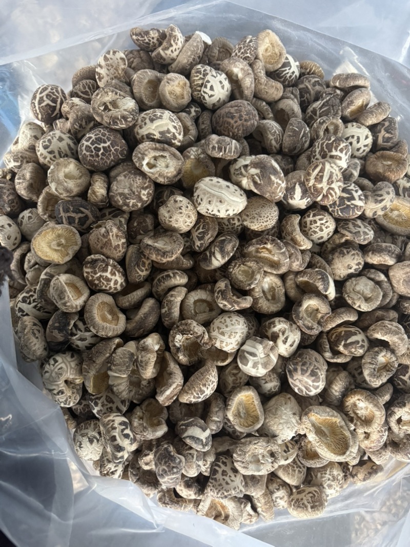 包邮无脚花菇4-5厘米大花菇2026花菇泌阳花菇干香菇