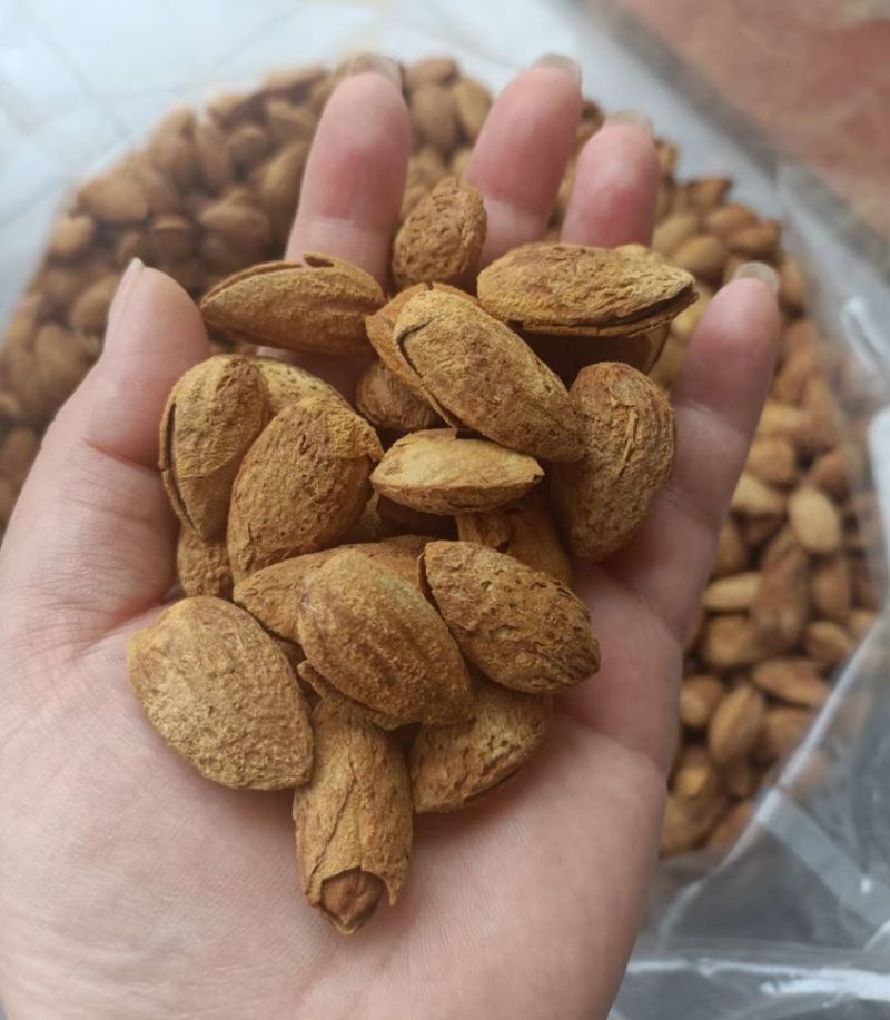 澳洲带壳巴旦木《新货现做》商超货，电商货大量供应