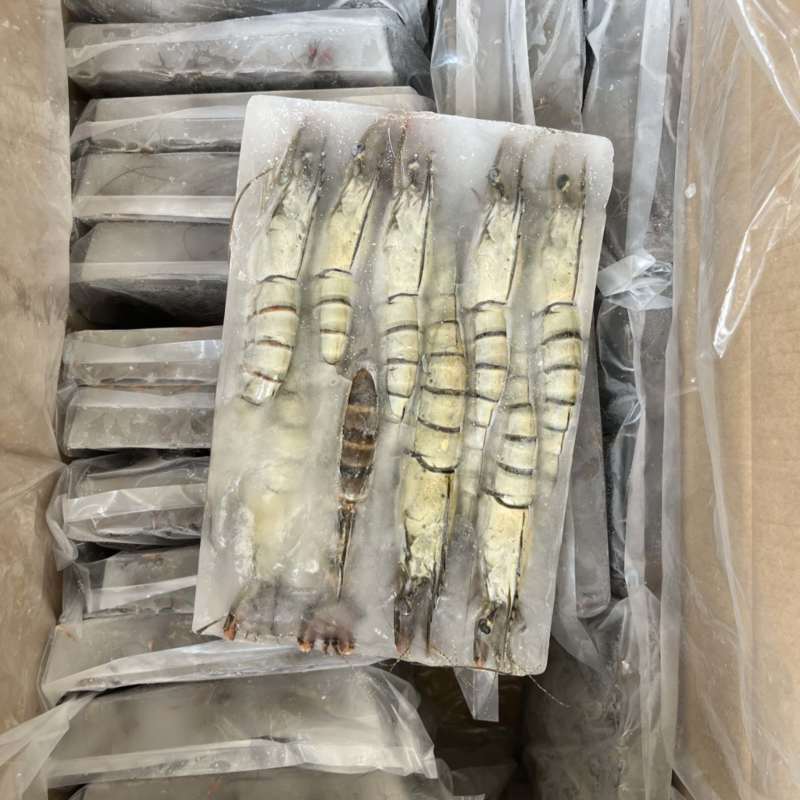 黑虎虾九节虾金刚虾草虾黑草虾斑节虾