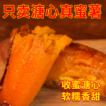 山东山地蜜薯