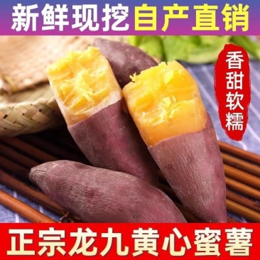 《黄瓤红薯》安徽基地直发对接商超团购电商一条龙