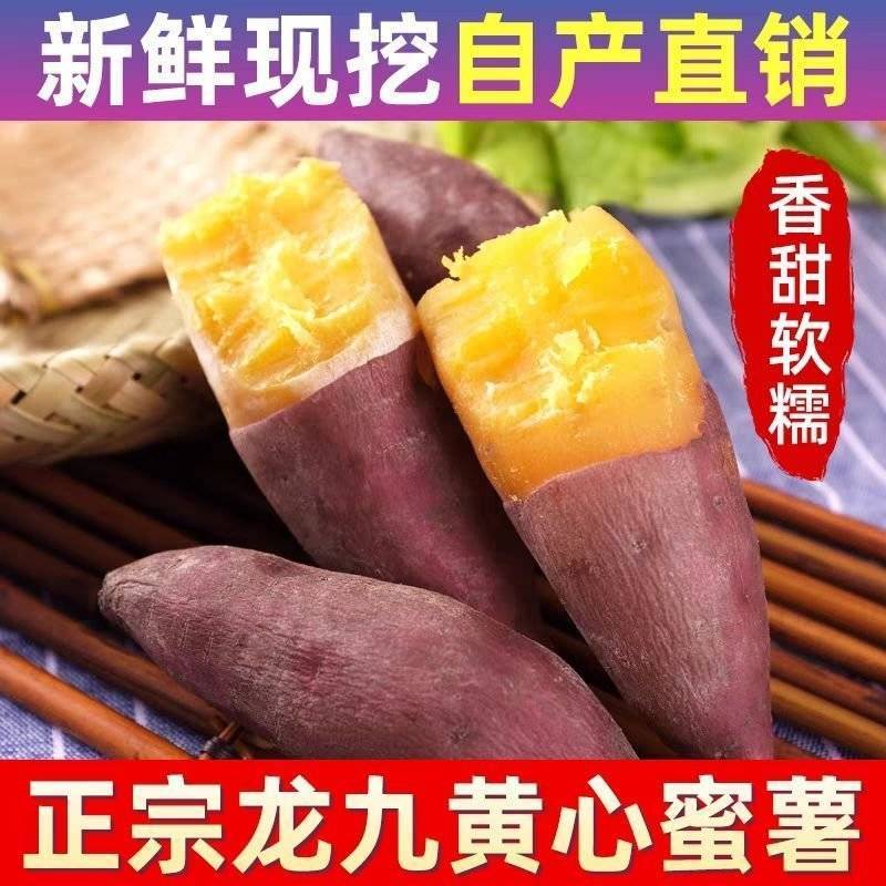 《黄瓤红薯》安徽基地直发对接商超团购电商一条龙