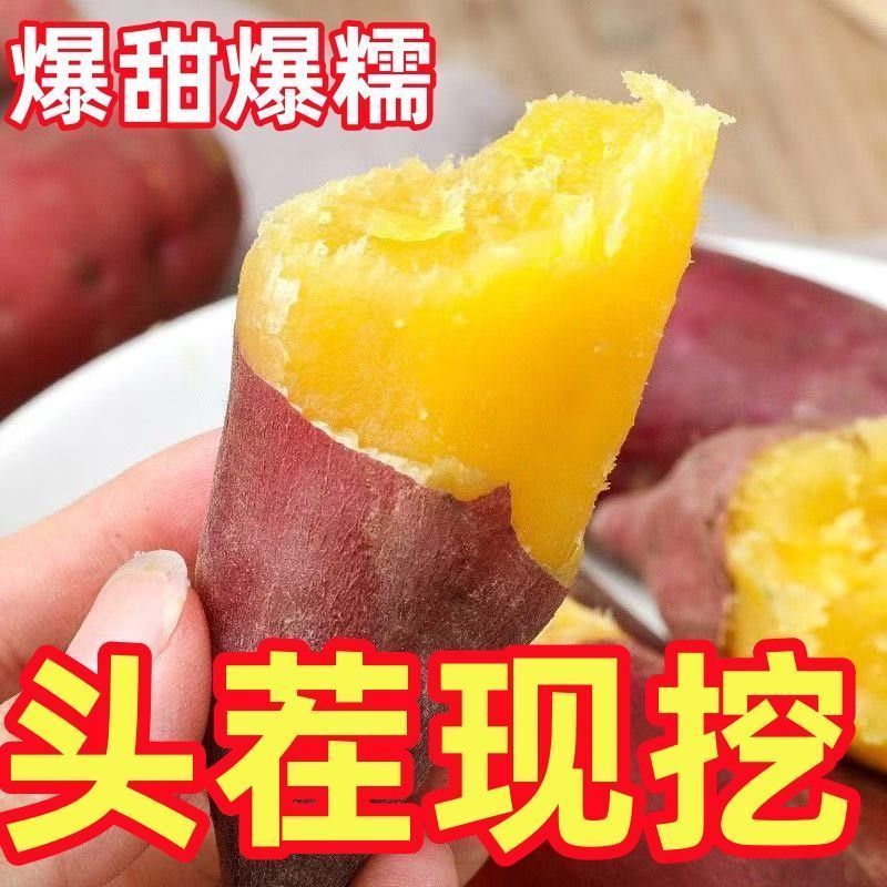 《黄瓤红薯》安徽基地直发对接商超团购电商一条龙