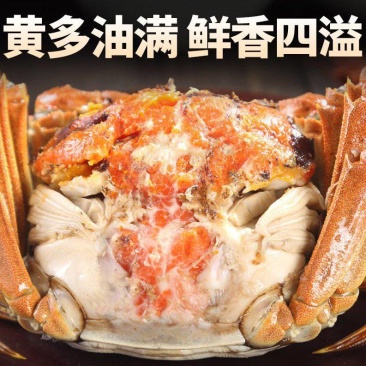 大闸蟹产地直发，20斤起，价格优惠满黄满膏