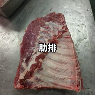 母猪肋排