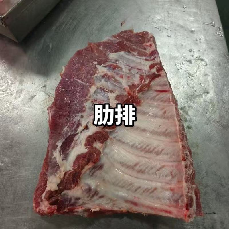 母猪肋排