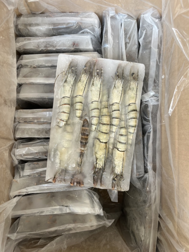 九节虾黑虎虾草虾黑草虾金刚虾斑节虾