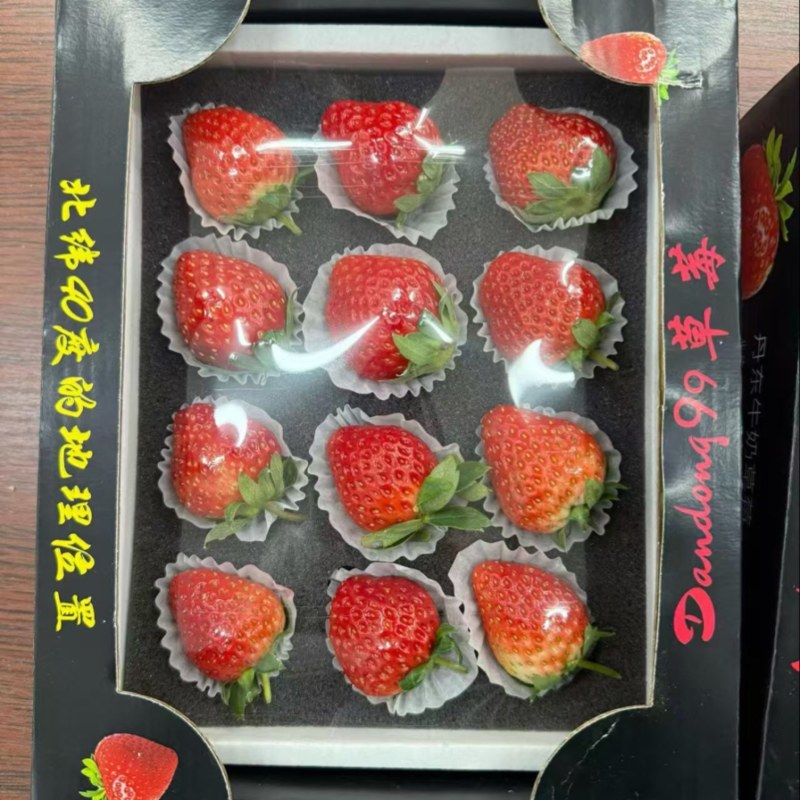 精品草莓辽宁草莓大量供应品质保证全国发货