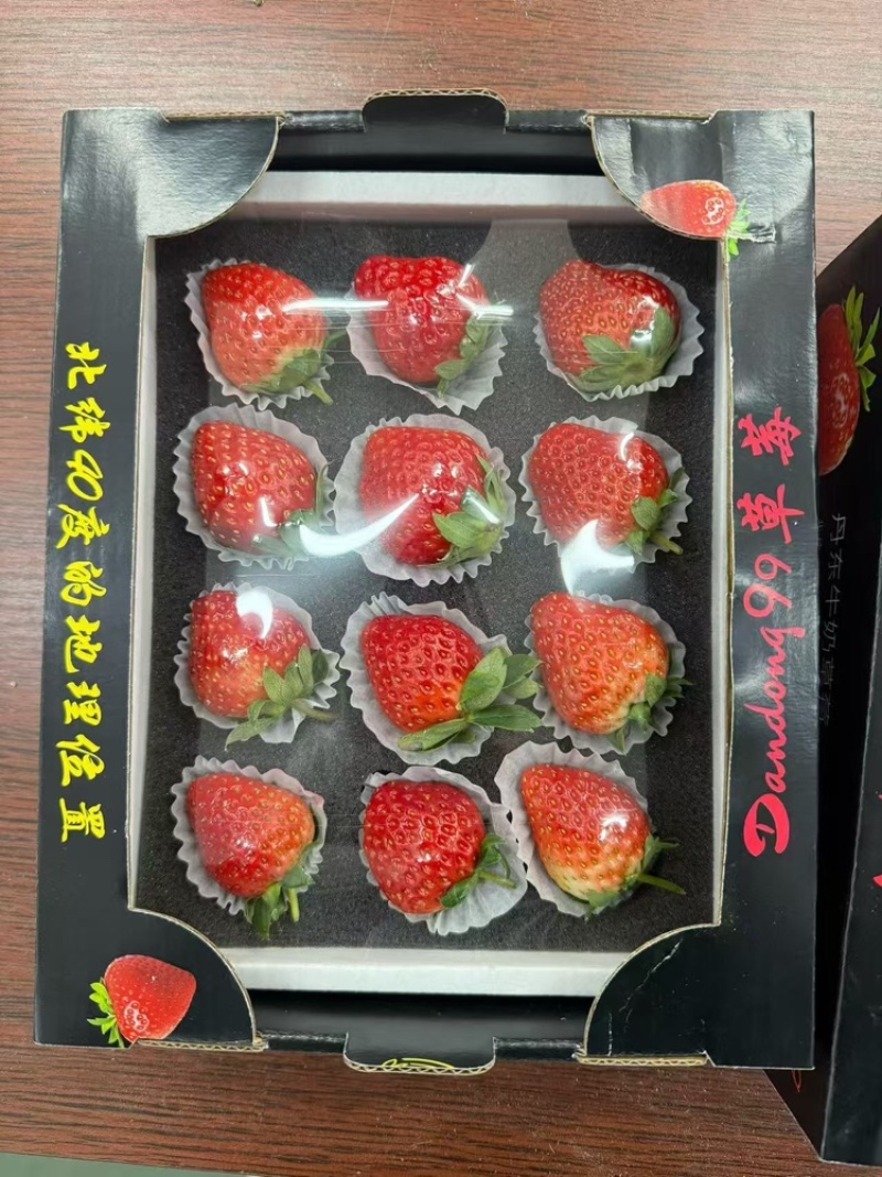 精品草莓辽宁草莓大量供应品质保证全国发货