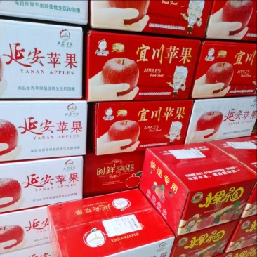 【产地直供】陕西红富士苹果精品果75以上果界甄选