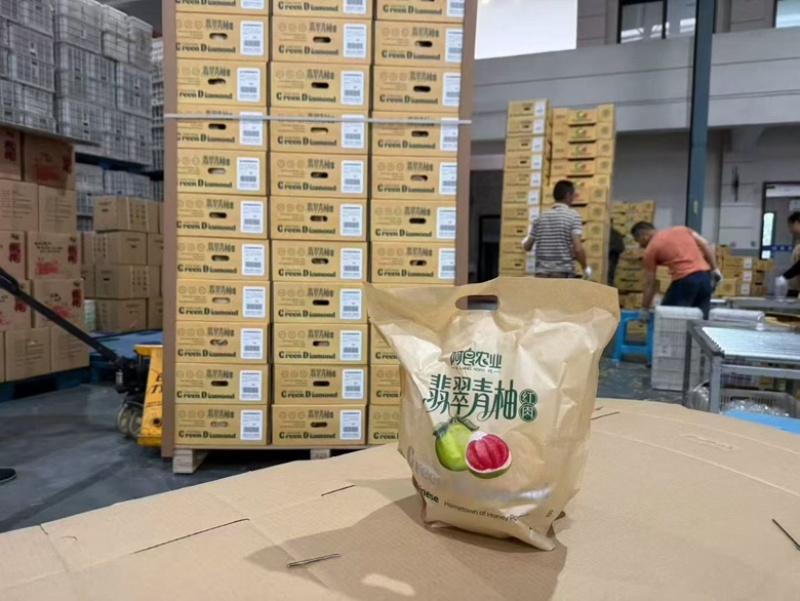 翡翠青柚红心柚品质上乘可供商超可零售批发