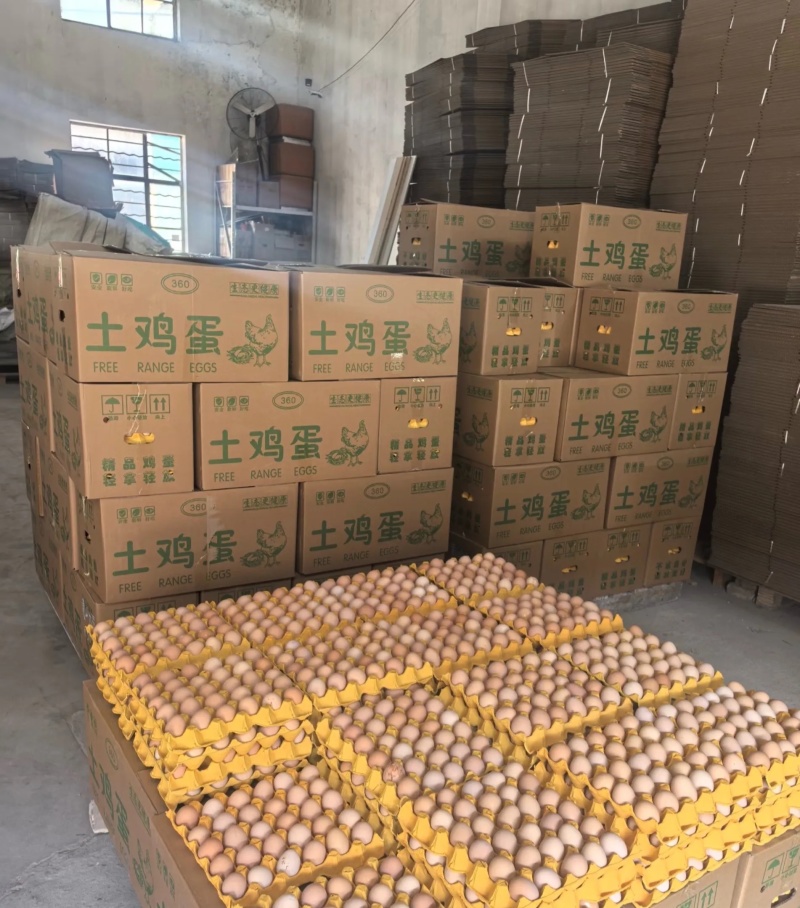 大码新鲜鸡蛋土鸡蛋红壳鸡蛋洋鸡蛋全国发货箱装360枚