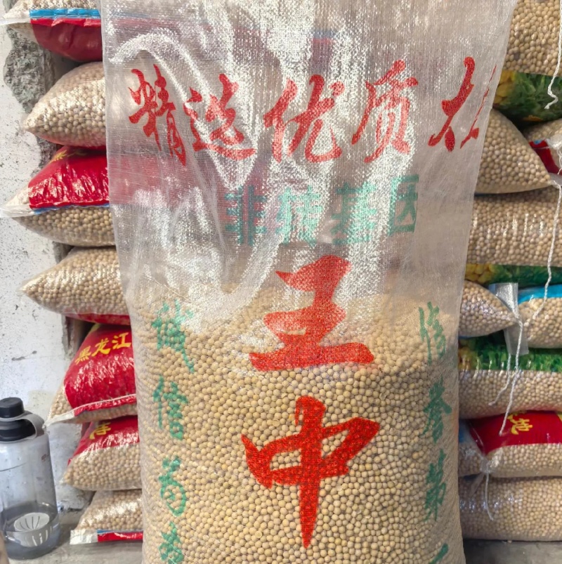 大黄豆粒高蛋白黄豆粒水分百分之九蛋白44以上全国发货