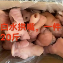 白水全熟猪拱嘴干净均匀适合所有人群1件20斤常年批发