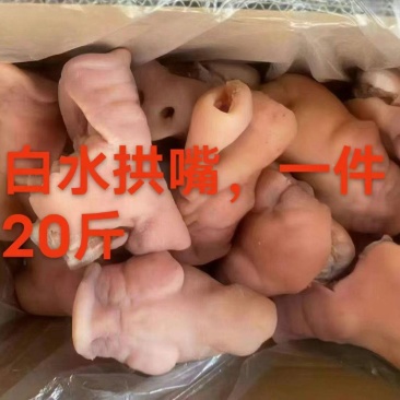 白水全熟猪拱嘴干净均匀适合所有人群1件20斤常年批发