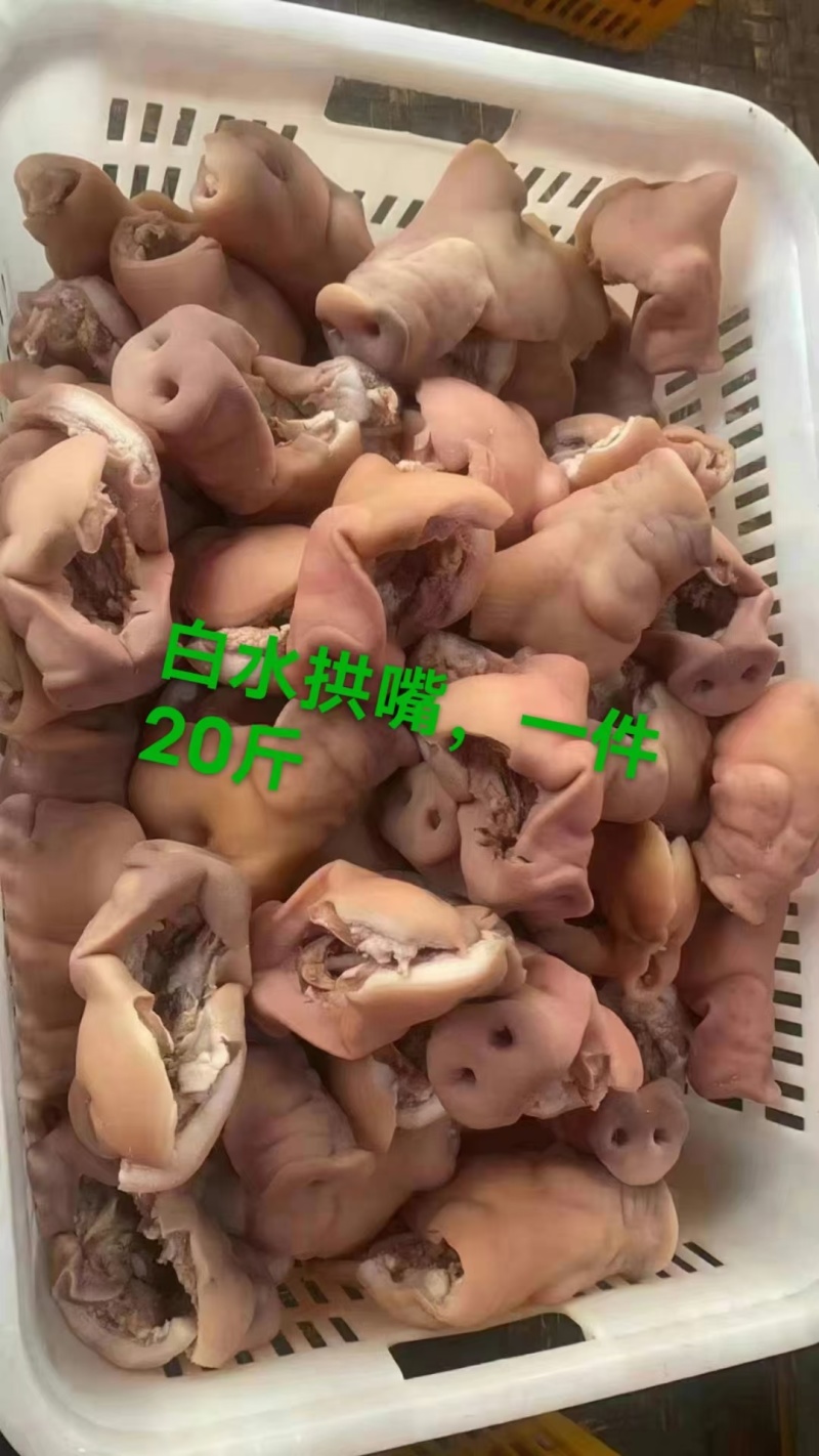白水全熟猪拱嘴干净均匀适合所有人群1件20斤常年批发