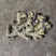 市场优质姜，保质保量，量大无忧，起批量现挖