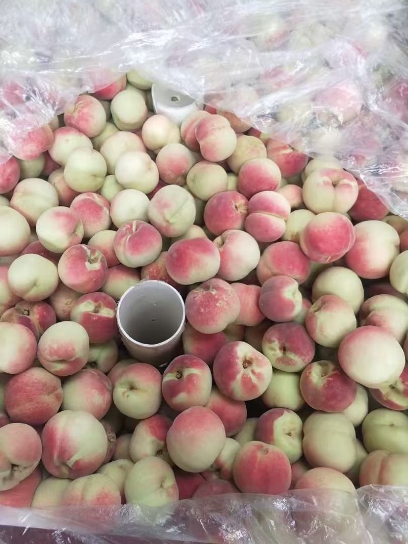 金秋红蜜桃子莱西市金秋红蜜映霜红桃子产区