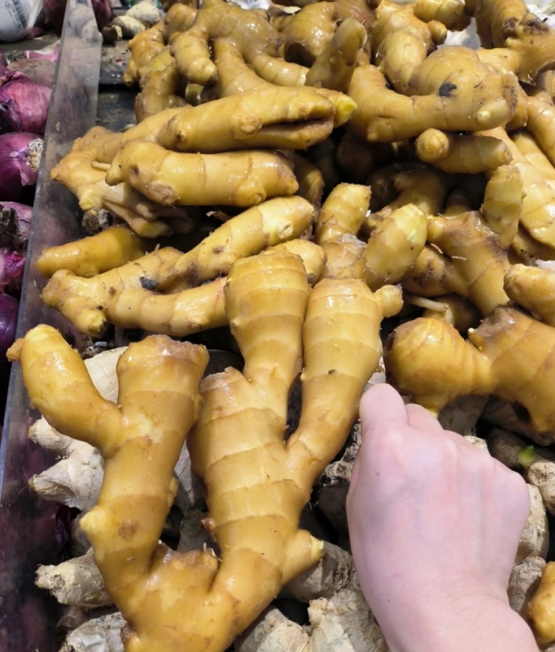 （山东生姜）鲜姜/大黄姜（辣味十足）质优价廉保质保量