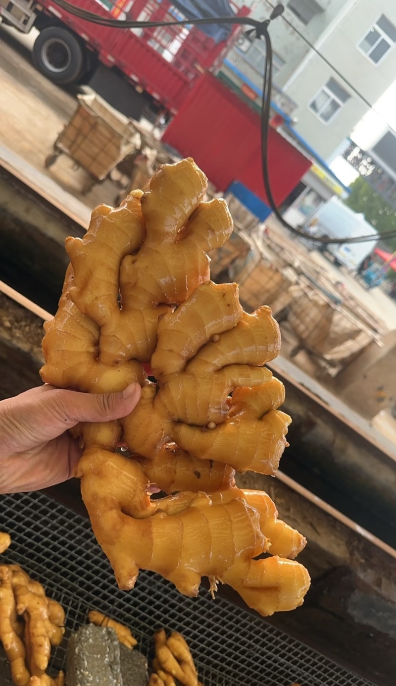 （山东生姜）鲜姜/大黄姜（辣味十足）质优价廉保质保量