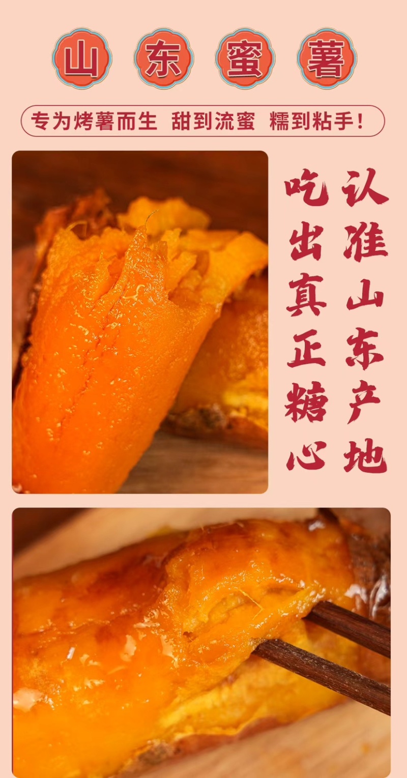 山东沙地蜜薯烟薯***********