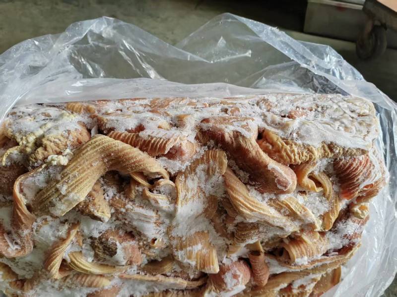 批发国产半成品牛大肠