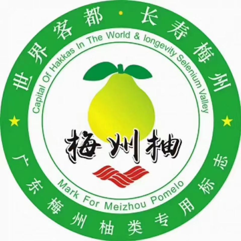 梅州沙田柚