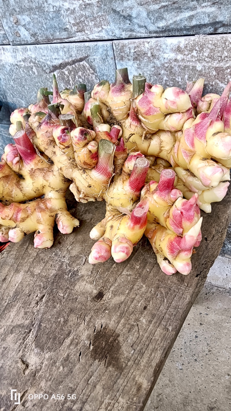 云南小黄姜，味极鲜美，价格实惠，生活必备……