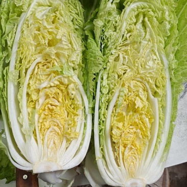 柏乡硕鑫