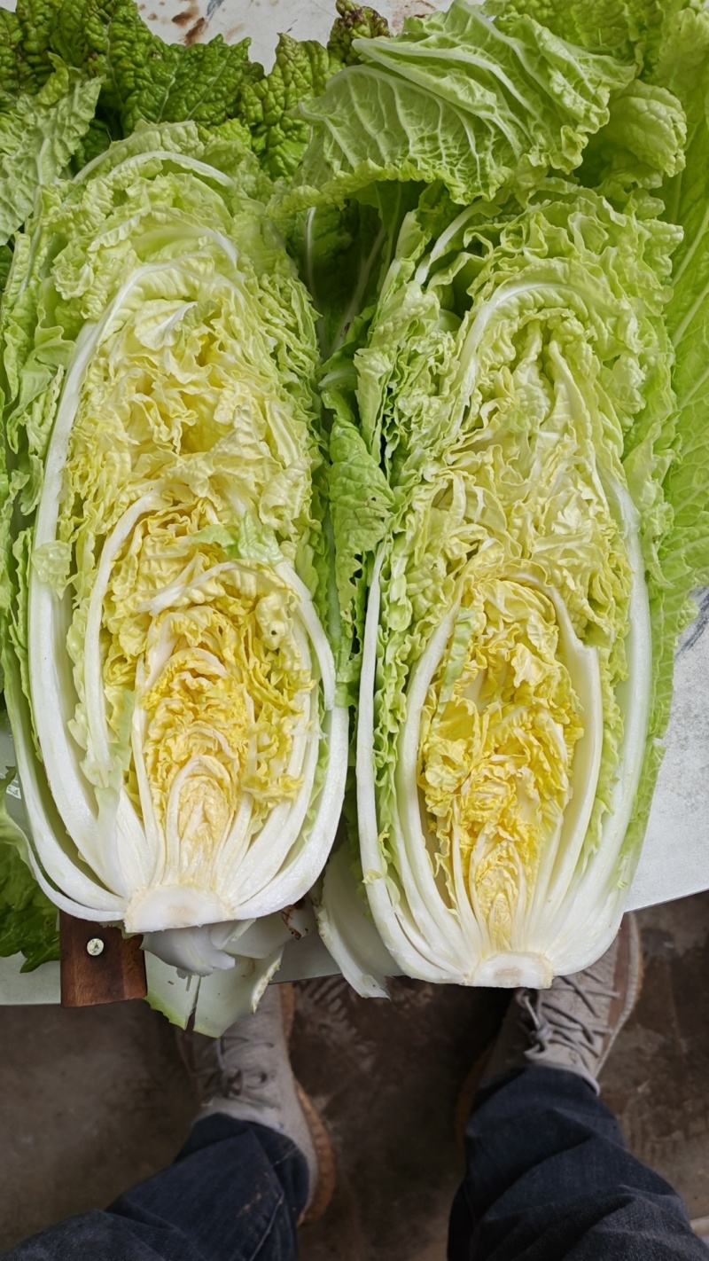 柏乡硕鑫