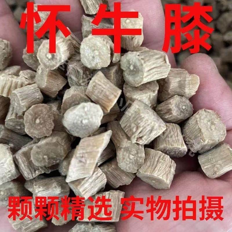 怀牛膝中药材正宗怀牛膝批发零售货真价实假一赔十