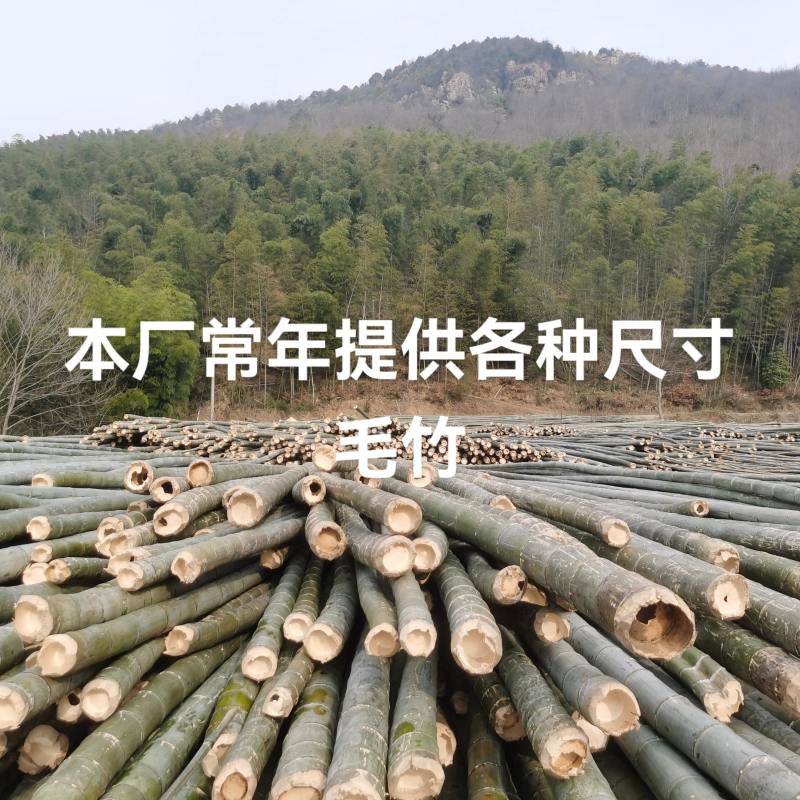 竹尾安徽无为，一手货源