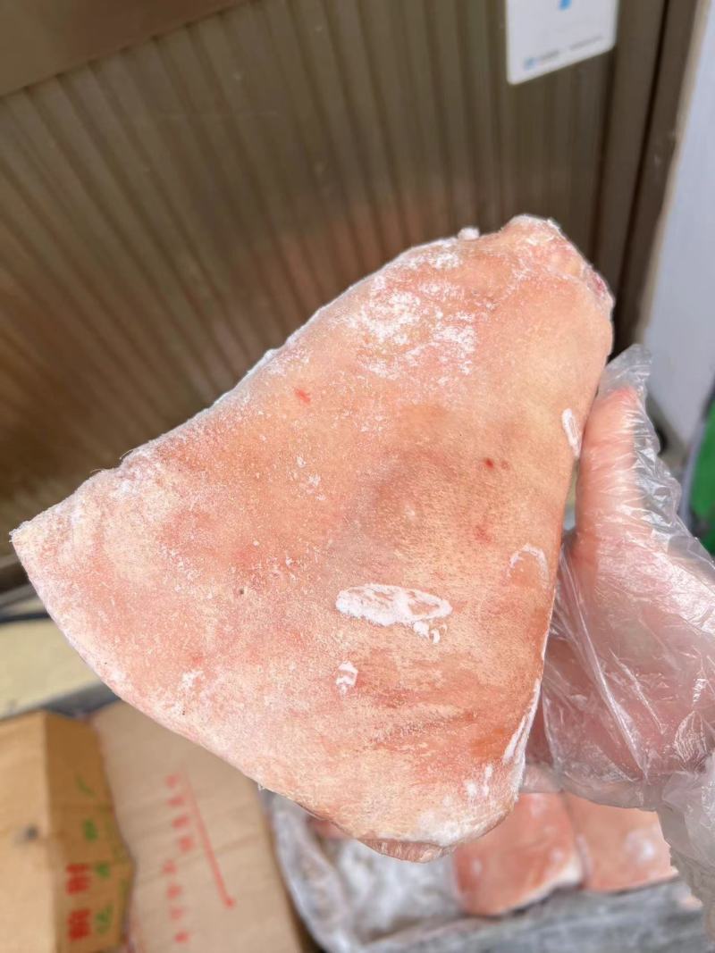 前肘8个头，新货