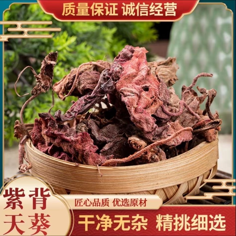 紫背天葵中药材货真价实批发零售假一赔十正品保证