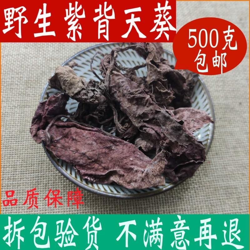 紫背天葵中药材货真价实批发零售假一赔十正品保证