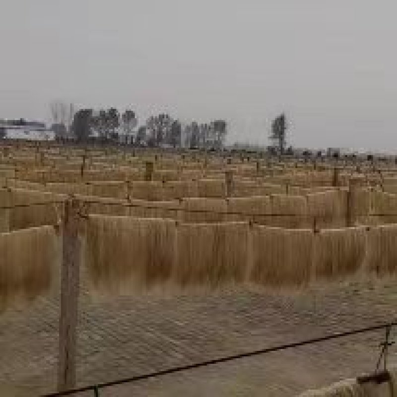 【供货电商】红薯粉条自产自销足斤足两供货量大进店下单
