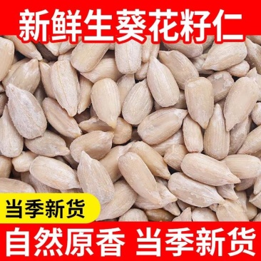 包邮）生葵花籽仁新货无壳瓜子仁原味新鲜生瓜子米花油葵榨油