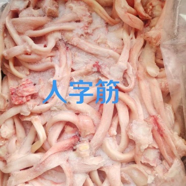 人字筋