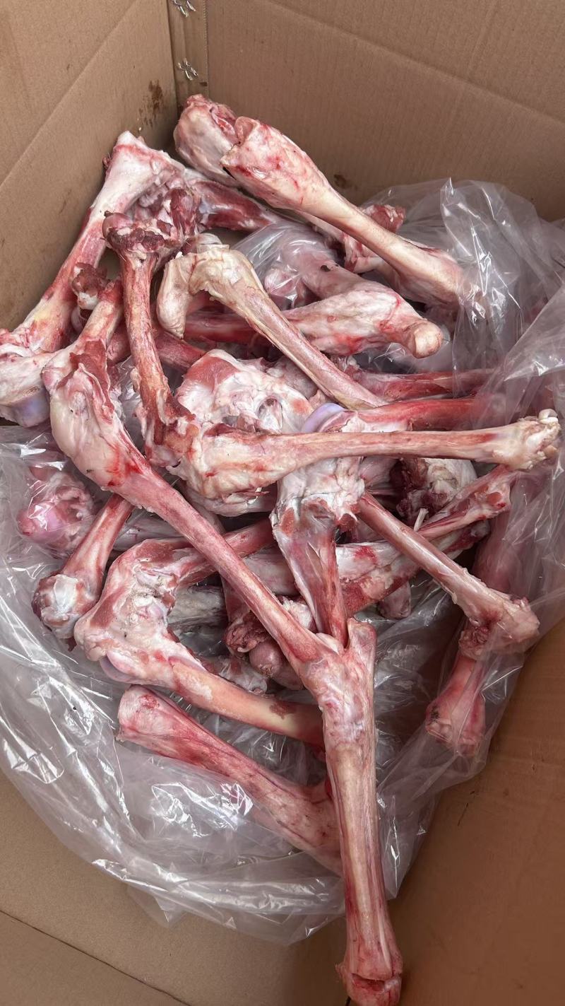 新到羊棒骨