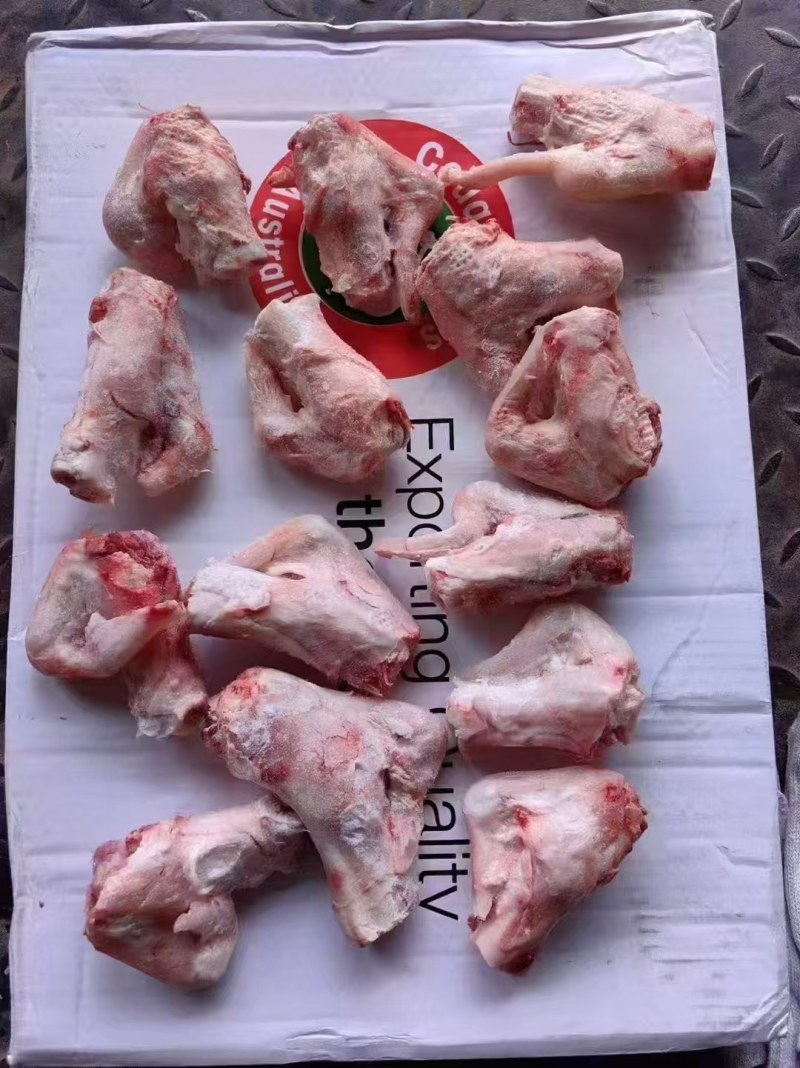 羊拐筋